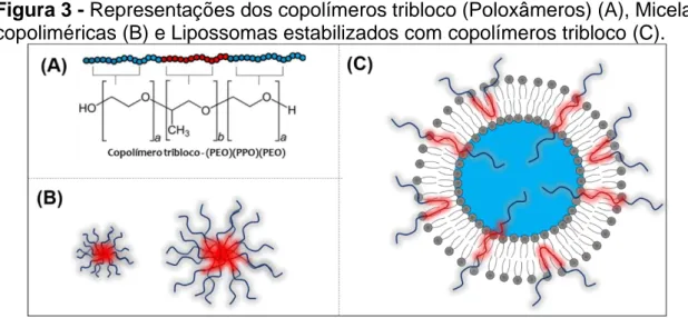 Figura 3 - Representações dos copolímeros tribloco (Poloxâmeros) (A), Micelas  copoliméricas (B) e Lipossomas estabilizados com copolímeros tribloco (C)