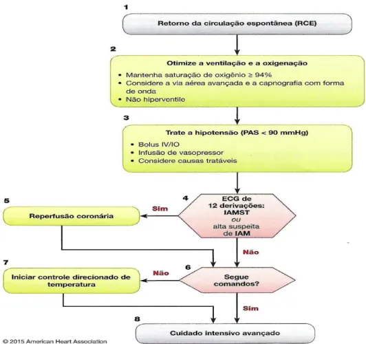 Figura 4. Algoritmo Cuidados Imediatos Pós-PCR em adultos- Atualização 2015 