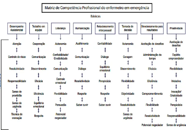 Figura 5 - Matriz de Competência Profissional do enfermeiro em emergência 
