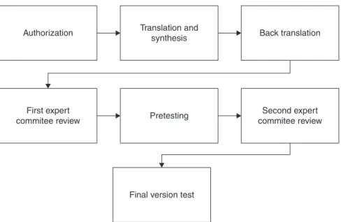 Figure 1 Validation methodological procedures for Brazilian Behavioral Pain Scale.