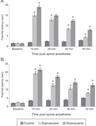 Figure 2 (A) Paw withdrawal threshold of P14 normal litter rat pups following spinal anesthesia determined using von Frey filaments
