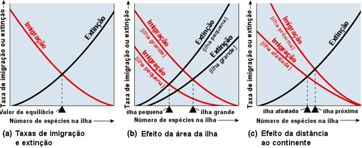 Figure 1 – Modelos de equilíbrio das taxas de imigração e extinção em ilhas segundo MacArthur 
