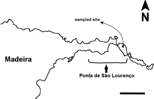 Figure 3 – Map of the eastern side of Madeira island. Scale bar = 2 km. 