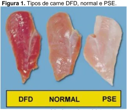 Figura 1. Tipos de carne DFD, normal e PSE. 
