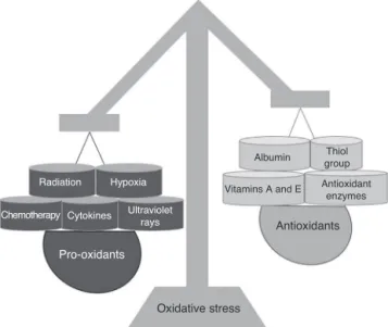 Figure 4 Representation of oxidative stress as an imbalance between pro-oxidant factors (left) and antioxidants (right).
