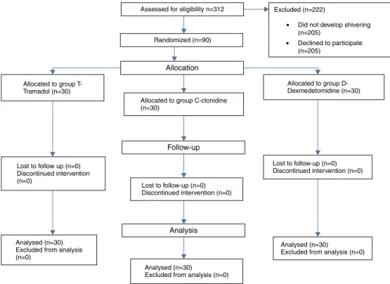 Figure 1 CONSORT flow chart (CONSORT, Consolidated Standards of Reporting Trials).