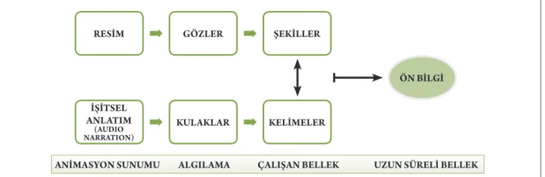 Şekil 1: Multimedya öğretimin bilişsel teorisi (Mayer&amp;Moreno, 2002).