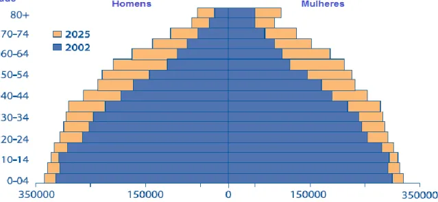 Figura 1.Pirâmide etária 2002 e perspetiva 2025 para a população mundial  Fonte: WHO (2002) 