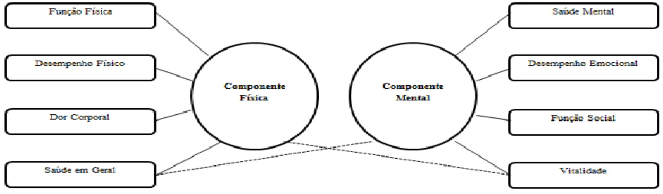 Figura 6.Componentes de avaliação do questionário SF36v2  Fonte: Ferreira, 1998  