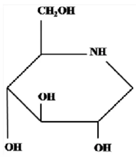 Figura 6 – Estrutura de 1- desoxinojirimicina (DNJ) (Li, et. al., 2013) 