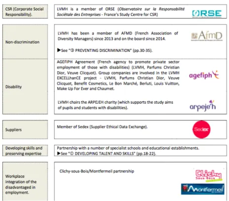 Figure 16 - Main LVMH NGO/NPO Partnerships Fostering Social Issues  Source: LVMH Social Responsibility Report 2014 
