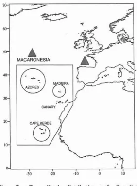 Fig.  2).  Future  citation  of  Squaliolus  off  the  Canary  Islands  will  extend  the  geographical  distribution  of  the  species  for  all  Macaronesian  archipelagos