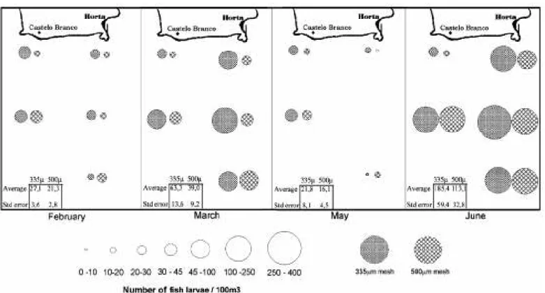 Fig. 3.  Spatial distribution of fish larvae (FL) community abundance (nº/100m 3 ) by month, for both mesh sizes