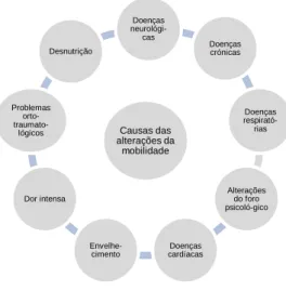 Figura 1. Causas das alterações da mobilidade 