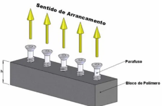 Figura 5 - Esquema geral do ensaio  