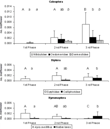 Fig. 3 - Mean (± SD) number of individuals/flower (no. ind/flower) for the main categories of flower-visiting insects for Coleoptera, Diptera and Hymenoptera orders in the observed blooming phases - first phase (1 st phase), second phase (2 nd phase) and t