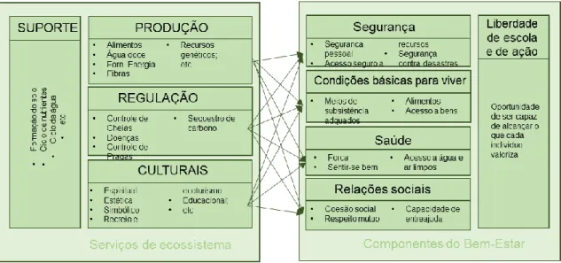 Figura 3.2 – As tipologias de funções e serviços de ecossistemas e componentes do bem- bem-estar humano (adaptado de Amorim, 2016)