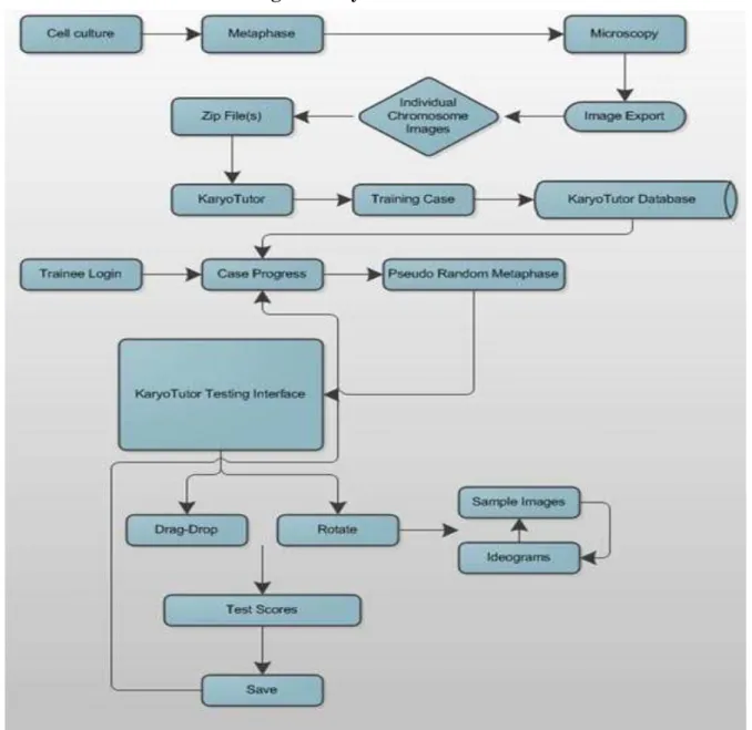 Fig. 1: KaryoTutor Workflow