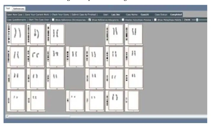 Fig. 2: KaryoTutor Testing Interface