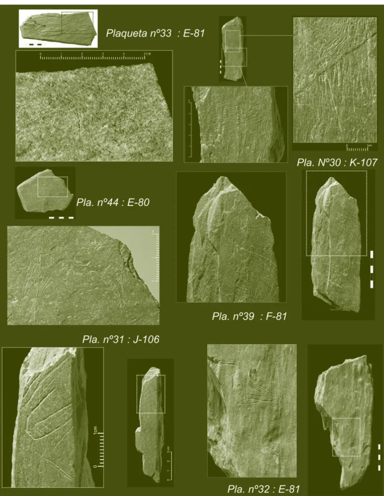 fig. 14 Exemplares de plaquetas de xisto gravadas de motivos zoomórficos ou geométricos recolhidos durante a campanha de 2005.