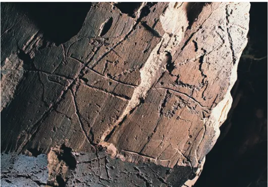 fig. 03 Pormenor da rocha 5 B da  Penascosa. A figura caprínea de cronologia  Paleolítica, gravada pela técnica de abrasão,  está representada em dois planos diferentes,  devido a fracturação do suporte pétreo