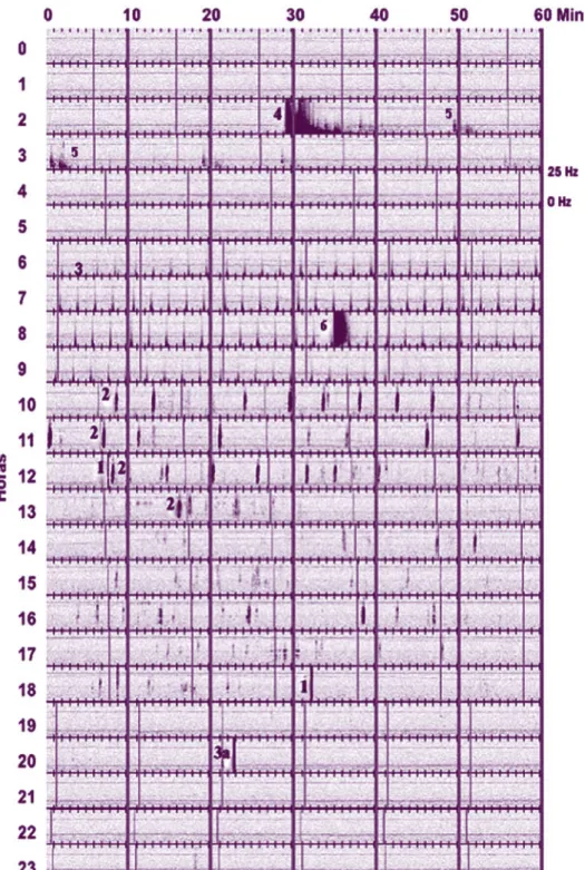 fig. 4 Espectograma virtual diário, criado  para exemplificar numa só imagem os 6  tipos de sinais detectados