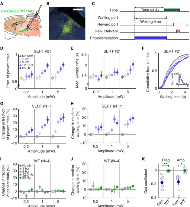 Figure 2. Photostimulation of DRN 5-HT Neurons Promotes Waiting Behavior