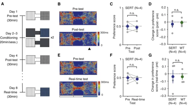 Figure 5. The Effect of DRN 5-HT Photostimulation in the Place Preference Tests