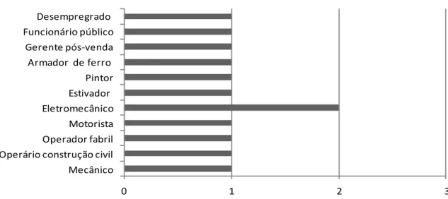 Gráfico 3 - Profissão das mães (n=12). 