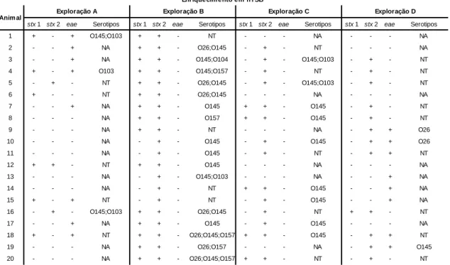Tabela 4.1-  Resultados obtidos através  das técnicas de  PCR  em tempo real,  por  exploração  para  a  presença  dos  genes  de  virulência  stx1,  stx2  e  eae  no  enriquecimento em nTSB 