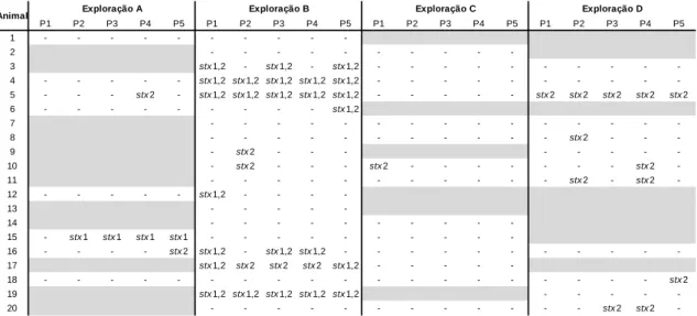 Tabela 4.2- Resultados da técnica de PCR real time para a presença dos genes  de virulência stx1, stx2 nas pools 