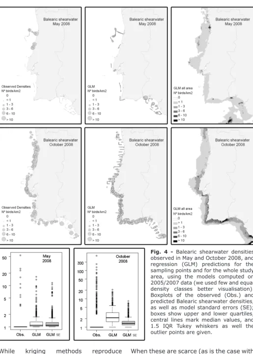 Fig.  4  -  Balearic  shearwater  densities  observed in May and October 2008, and  regression  (GLM)  predictions  for  the  sampling points and for the whole study  area,  using  the  models  computed  on  2005/2007 data (we used few and equal  density  