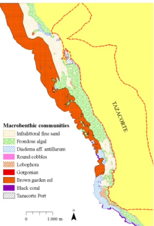 Fig. 4 - Distribution map of the macrobenthic  communities.