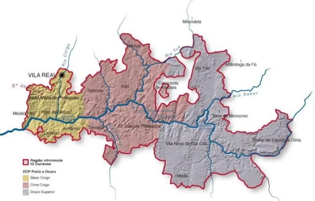 Figura 3: Mapa da Região Demarcada do Douro (RDD) com as três sub-regiões assinaladas 