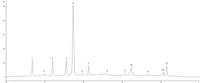 Figura 15: Cromatograma de uma amostra de vinho do Porto Vintage, obtido através do método MIVDP 111