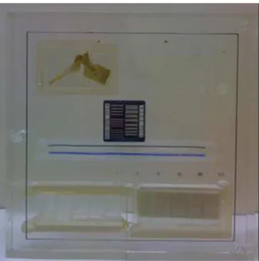 Figure 2. Realistic-analytic phantom adapted for fluoroscopy.