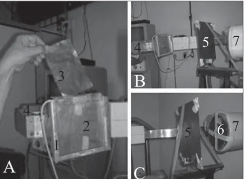 Figure 3. TO10 Leeds test object (touched up frame) comprises discs with decreasing dimensions, and increasingly less distinctive densities from the background, organized into four groups
