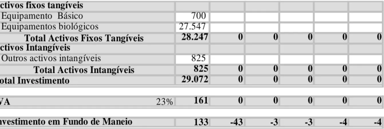 Tabela 6.2. Plano de Investimento. 