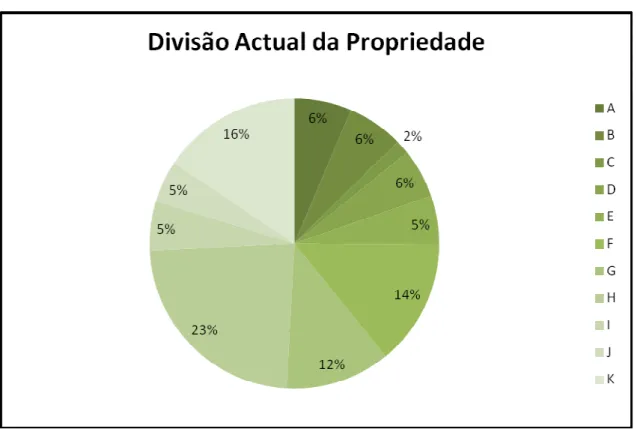 Gráfico  1  –  Divisão  Actual  da  Propriedade  por  Parcelas  em  Percentagem  do Total 