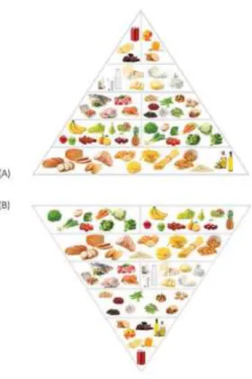 Figura 2 - Figura ilustrativa das necessidades alimentares - A vs níveis de desperdício alimentar – B (Sales et  al., 2015) 