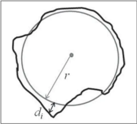 Figure 2. Example of regular (A) and irregular (B) lesion shapes (dark gray central area)