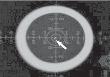 Figure 3. Central ray perpendicularity test. Image demonstrating the compli- compli-ant incidence of the X-ray beam central ray.