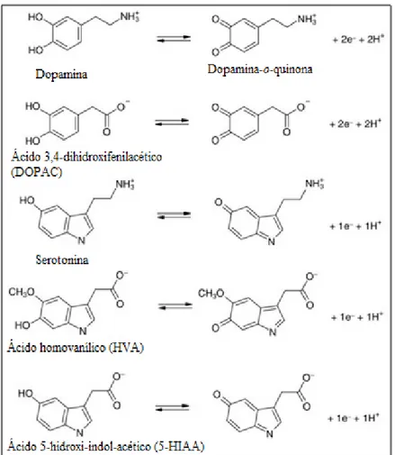 Figura 1.10:  Reações de oxidação-redução  da  DA e serotonina e dos  seus principais metabolitos
