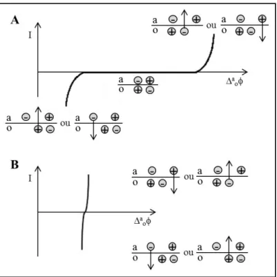 Figura 1.13: Curva de intensidade de corrente (I) em função da diferença de potencial (∆ a o φ) de uma  interface idealmente polarizável (A) e não-polarizável (B)
