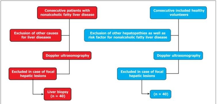 Figure 1. Flowchart representing the inclusion of individuals in the study.