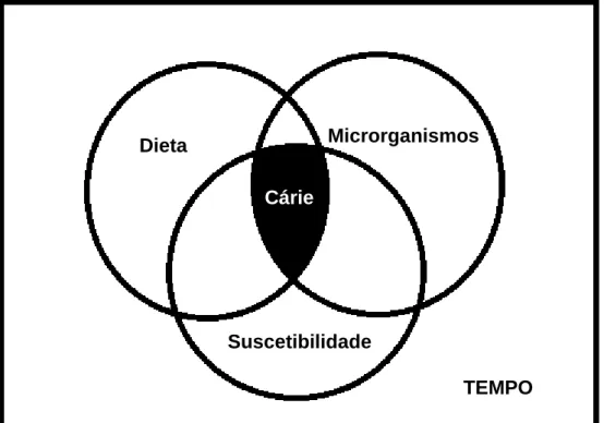 Figura 2: Tríade de Keyes Modificada (Newburn, 1983). 