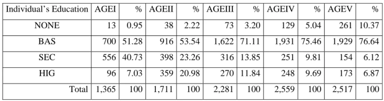 Table VI. Individual’s education by age group 