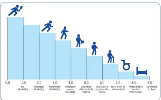 Figura 5. Expanded Disability Status Scale de John Kurtzke. 