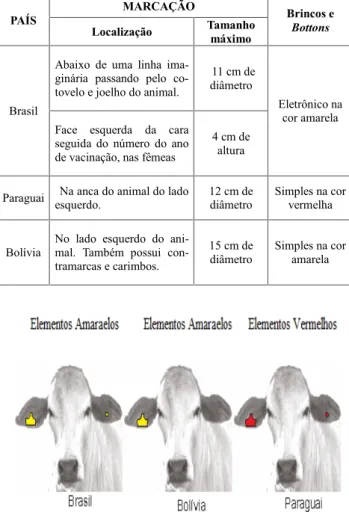 Tabela 1: Diferenciação da Identificação Individual da Espécie Bovina Entre o Brasil, Paraguai e Bolívia na área de fronteira com o MS: