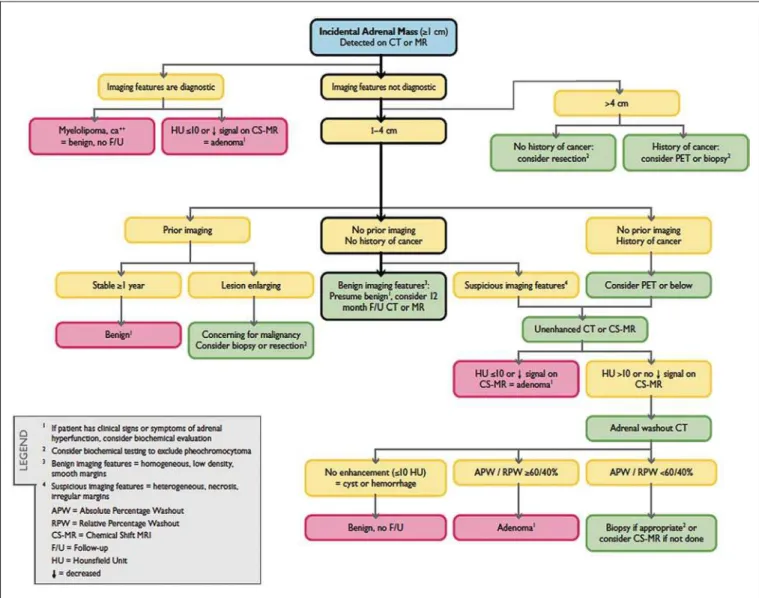 Figure 1. Algorithm for the assessment of an incidental adrenal lesion detected on CT or MRI